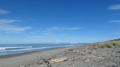 small waves roll into driftwood strewn sandy beach on a sunny winter's day with snow visible on distant hills - pegasus bay, new zealand