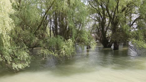 Nature-Reserve-Delta-of-the-Danube-River