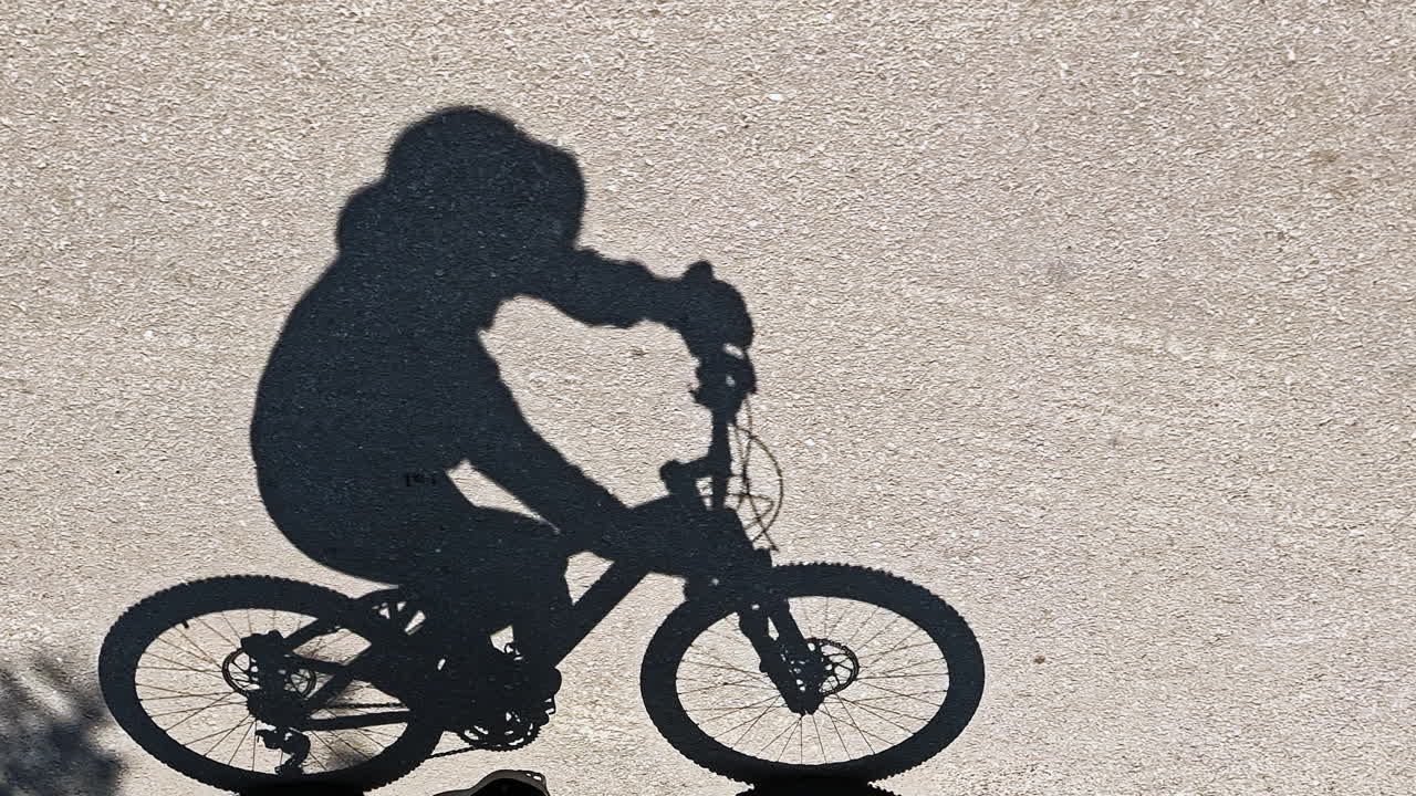 Silhouette of woman riding a mountain bike on asphalt road with shadows of tree passing by. Day time, slow motion, wide shot