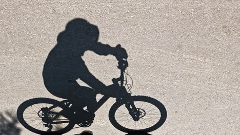 silhouette of woman riding a mountain bike on asphalt road with shadows of tree passing by. day time, slow motion, wide shot