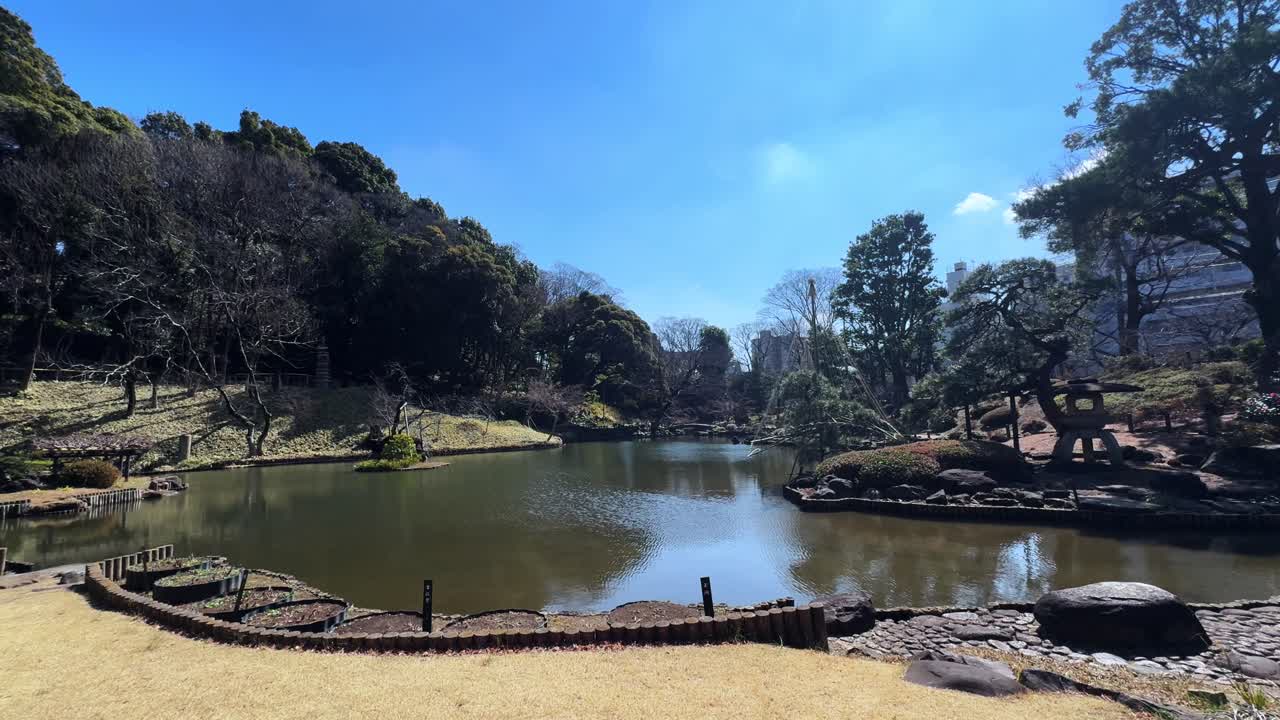 Serene Japanese garden with a tranquil pond under a bright blue sky, located in Tokyo