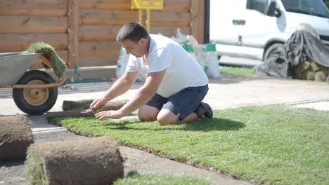 man laying sod grass in backyard garden for lawn installation and landscaping project, focused on home improvement and outdoor maintenance for a fresh, green lawn in a residential yard