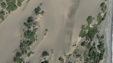 AERIAL:-Top-down-shot-of-the-sand-dunes-in-Dominican-Republic
