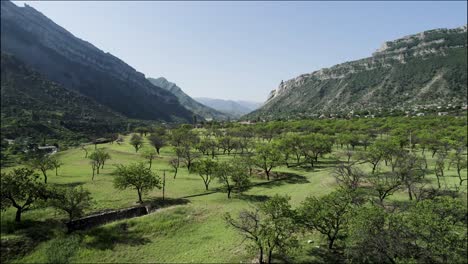 mountain valley orchard landscape