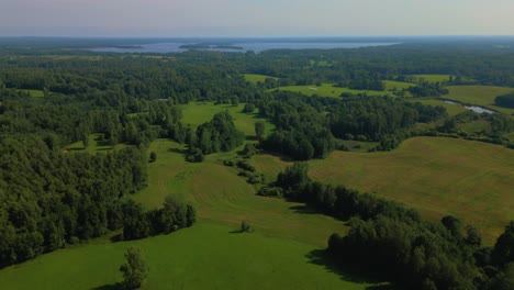 latgale beautiful baltic drone landscape panorama with forest field and lake