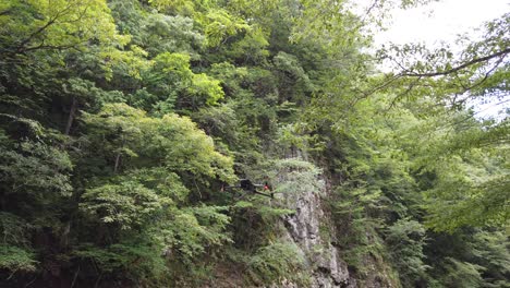 Drone-flying-over-Tamba-Japanese-river,-Hyogo-valley-green-raw-nature