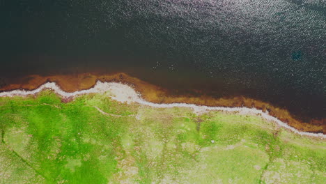 Aerial-top-down-view-moving-along-the-edge-of-a-lake,-on-a-bright-sunny-day