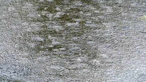 raindrops on the water, background loop