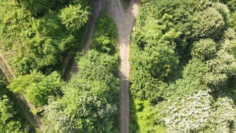 Green-Path-Overhead-View