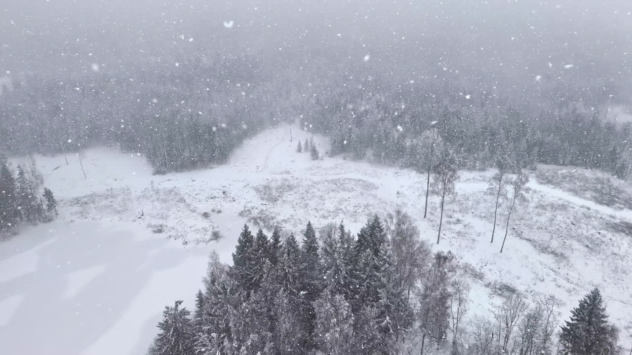 High aerial view during snowfall over a wooded landscape