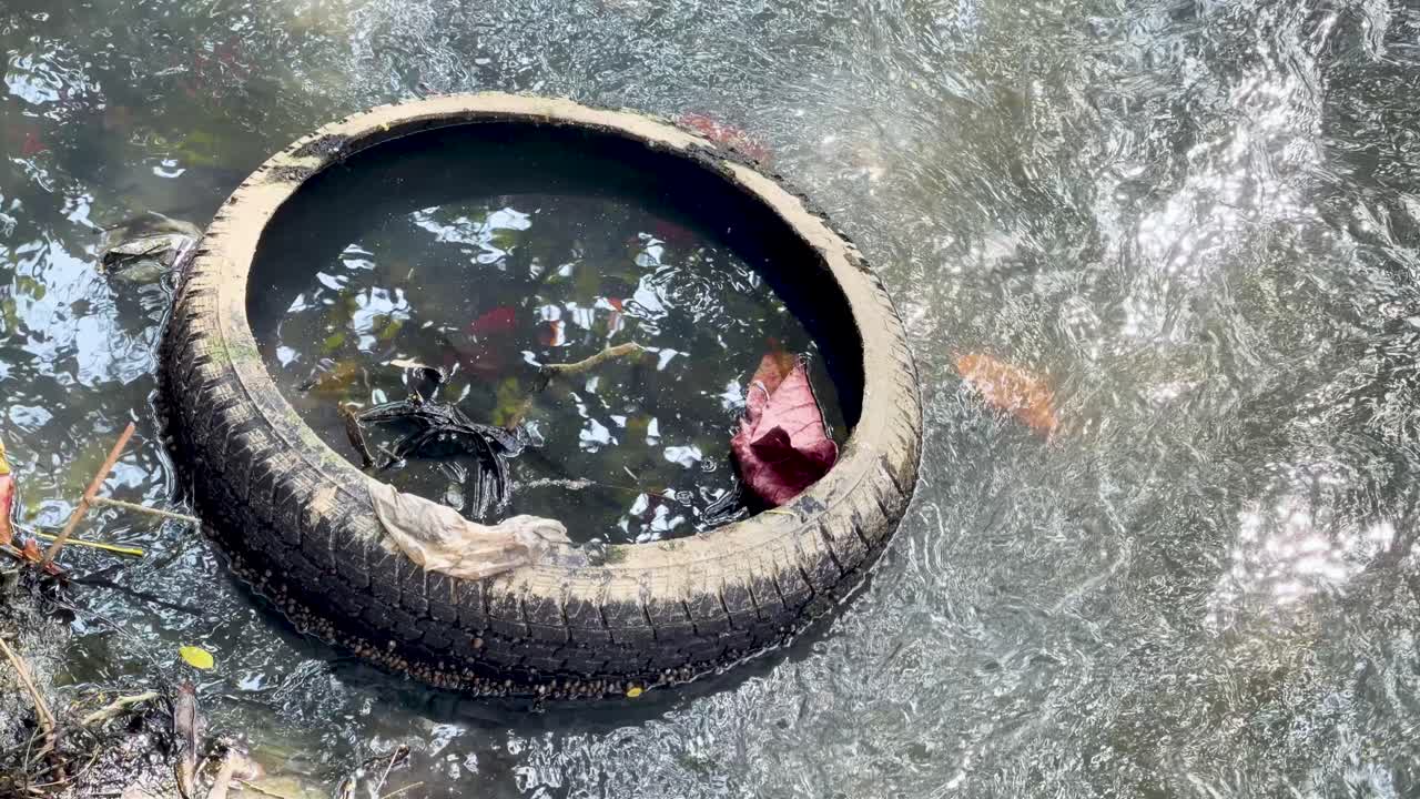 俯瞰ショットでは、濁った、ゴミが散乱した水の中に古タイヤが浮いている。