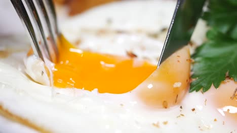 fried egg with parsley