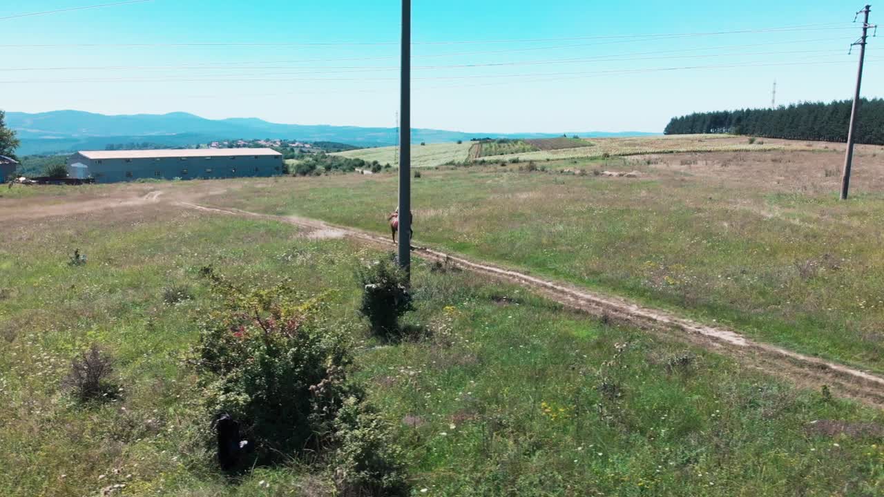 paseo de jinete rápido de camino de tierra
