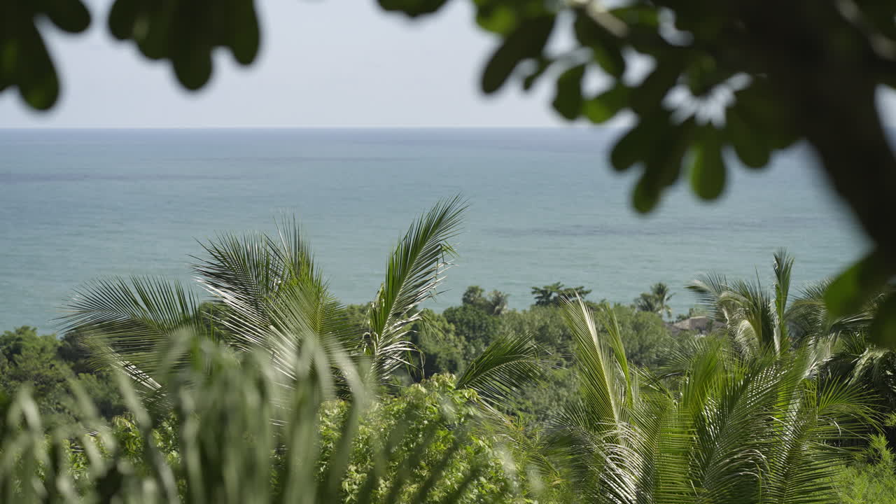 Tropical Ocean View through Lush Palm Trees and Foliage