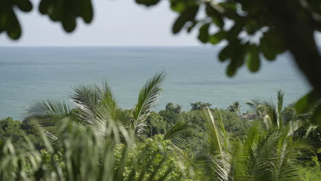 tropical ocean view through lush palm trees and foliage