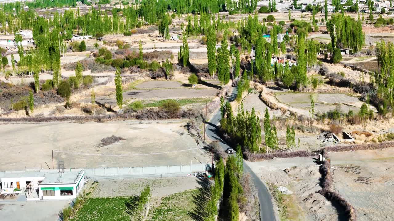 Aerial drone shot of the sand dunes of Nubra Valley glowing under the warm light of the evening sun.