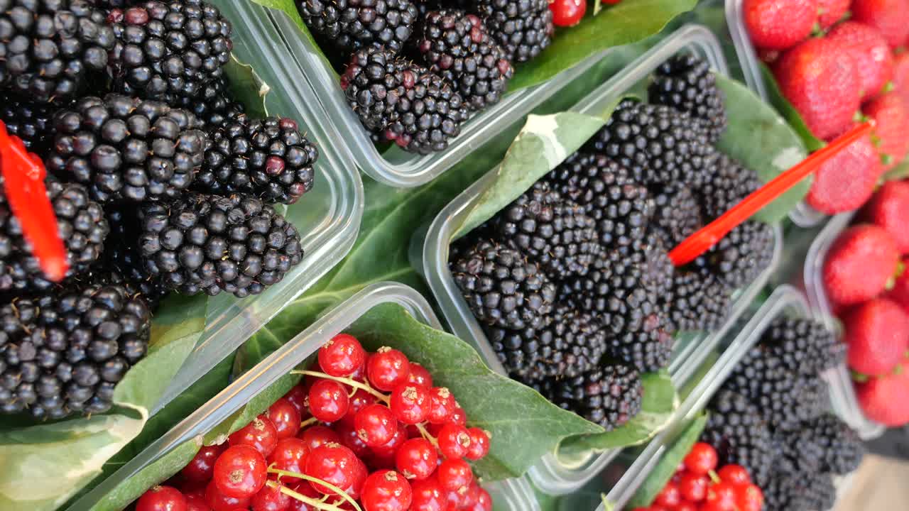 Fresh Blackberries, Red Currants, and Strawberries