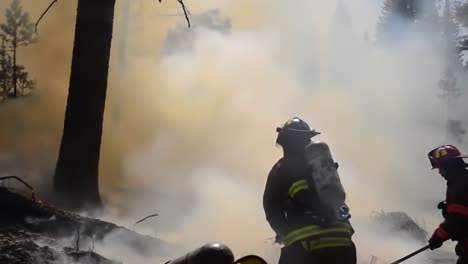 brave firefighters battling dense smoke and flames in a forest during a challenging wildfire emergency response operation to protect nature and communities