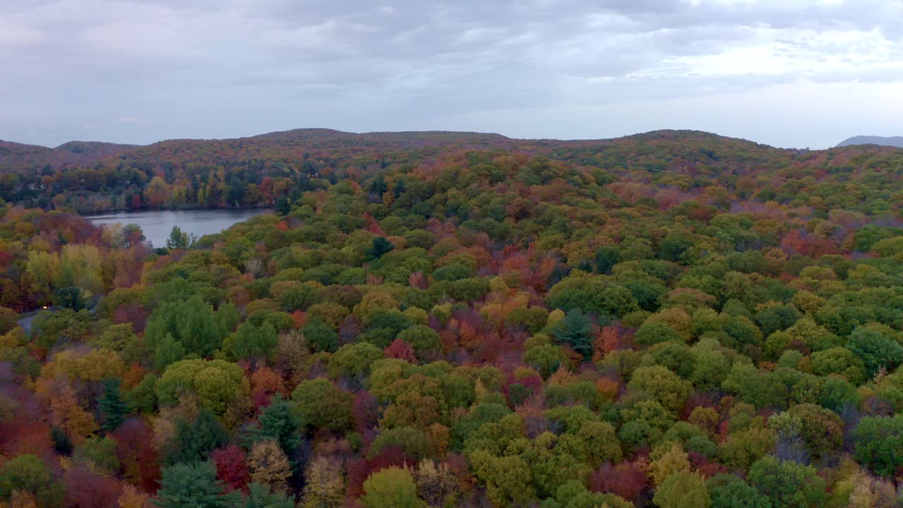 toma aérea de un hermoso y colorido bosque y lago en otoño