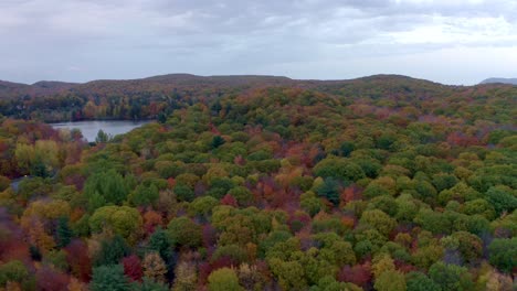 Toma-Aérea-De-Un-Hermoso-Y-Colorido-Bosque-Y-Lago-En-Otoño