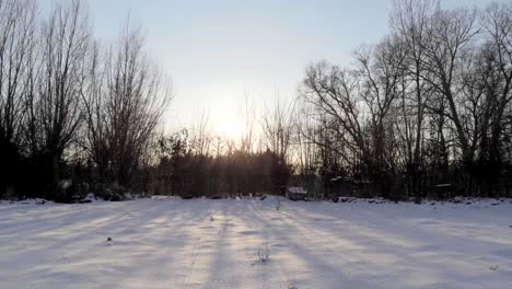 Goldenes-Sonnenlicht-Strömt-Durch-Kahle-Äste,-Die-Einen-Schneebedeckten-Garten-Umgeben,-Antenne