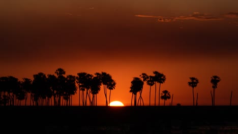 sun hiding in the horizon line at sunset in the esteros del ibera, national park in argentina