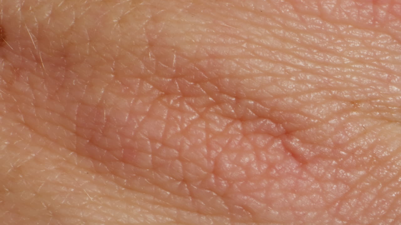Close-up of man hand skin texture. Macro Detailed human veins , lines on hand palm.
