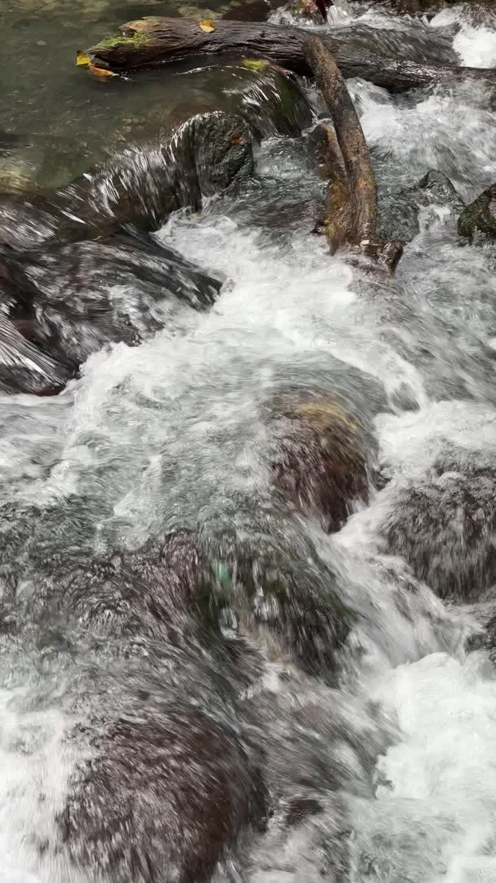 Acqua impetuosa che scorre sulle rocce in un ruscello sereno della foresta