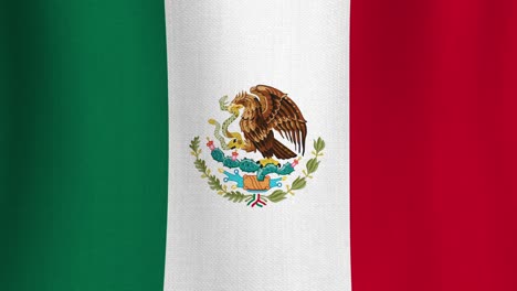 seamless looping animation of grunge mexican national waving flag with fabric texture