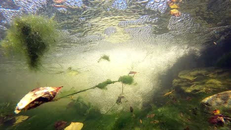 Zeitlupe-Unter-Wasser-Direkt-Hinter-Einem-Wasserfall