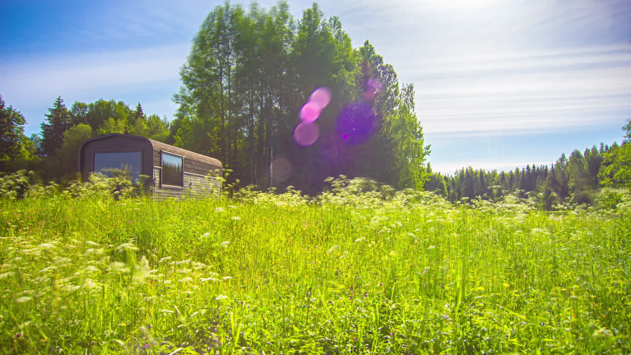 아름다운 이슬 안개가 자욱한 일출과 햇살 가득한 한낮의 시간 경과 - 조명 화단과 자연의 식물 - 저녁의 어두운 회색 하늘 - 일출에서 일몰까지 시간 경과