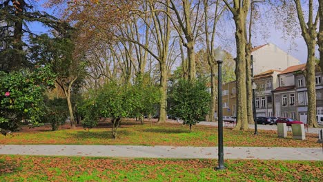 city parks transform into a golden wonderland in autumn-fallen leaves blanket the grass, trees wear vibrant hues, adn the crisp air brings a sense of calm.