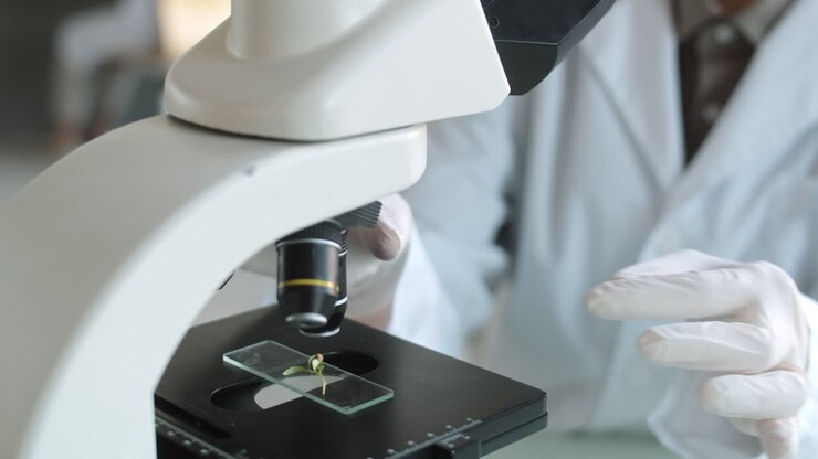 scienziato che esamina la pianta al microscopio