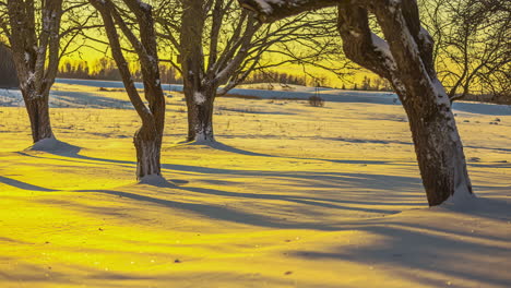 Tiro-De-Lapso-De-Tiempo-De-La-Fría-Noche-De-Invierno-Con-El-Reflejo-Dorado-De-La-Puesta-De-Sol-Cayendo-Sobre-El-Suelo-Del-Bosque-En-El-Campo-Rural