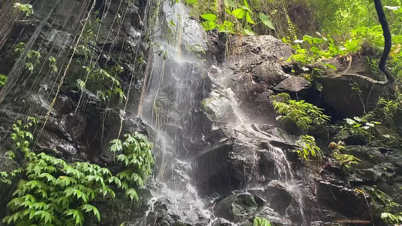 Cascading waterfall through green forest, mist rising around rocky terrain, serene nature scene with water on vegetation