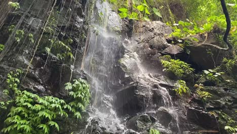 cascading waterfall through green forest, mist rising around rocky terrain, serene nature scene with water on vegetation