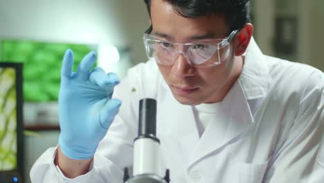 asian scientist man looking at test sample of leaf analyzing for biological experiment with organic plants. biologist specialist discovering organic gmo plants while working in
