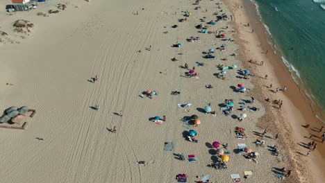 aerial view of a sandy beach with people and umbrellas