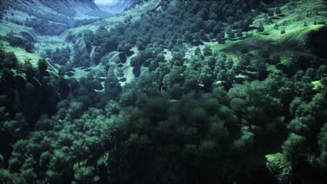 Hoher-Berg-In-Der-Morgenzeit