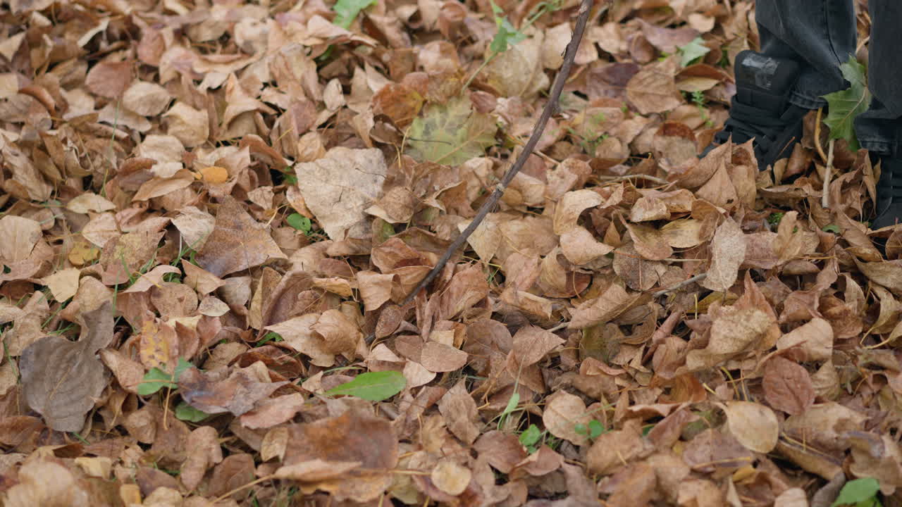 Vista parziale di un bambino che tiene un bastone, usandolo per spargere foglie secche autunnali sul suolo della foresta, mostrando un'interazione giocosa con la natura durante la stagione autunnale.