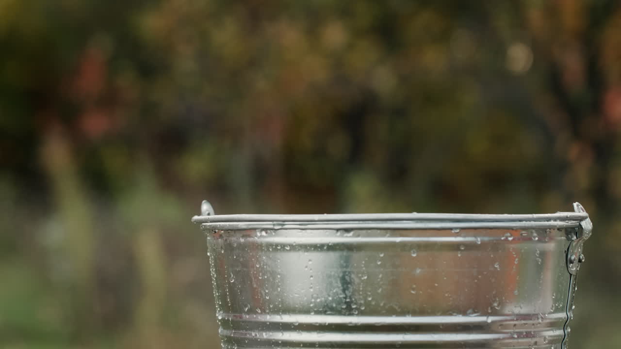 다양한 잘 익은 과일이 물통에 빠진다