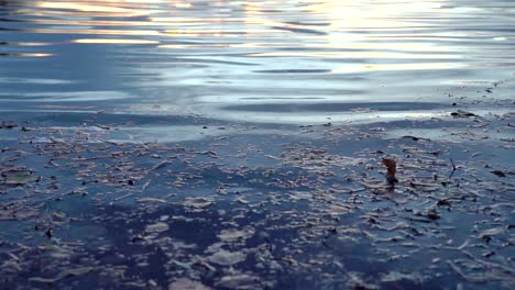 Wasser-Plätschert-In-Zeitlupe