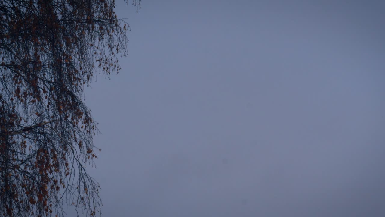 A tilt down footage from the blue sky to the road leading to beautiful human dwelling with parked cars and cottages, all covered with snow.