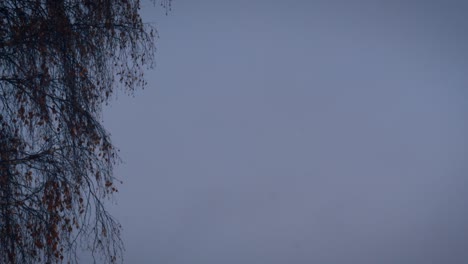 a tilt down footage from the blue sky to the road leading to beautiful human dwelling with parked cars and cottages, all covered with snow.