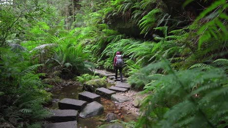 indigenous australian girl crossing stream in the blue mountains, nsw australia