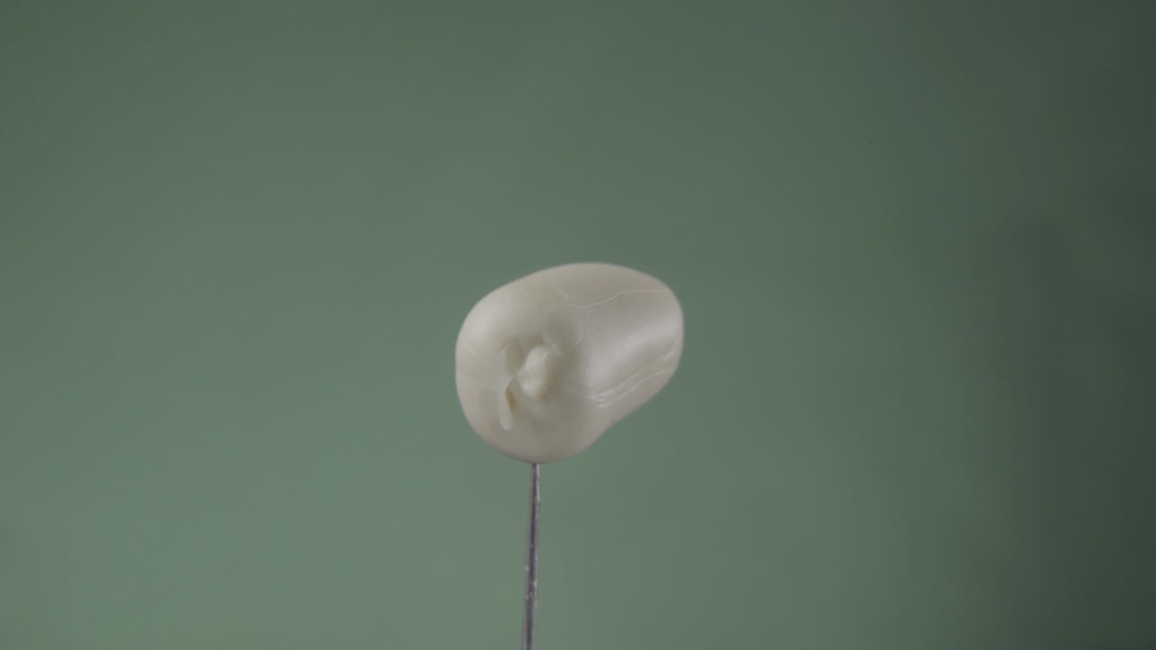 크로마 키를 위해 녹색 화면에 루프와 함께 땅콩 회전