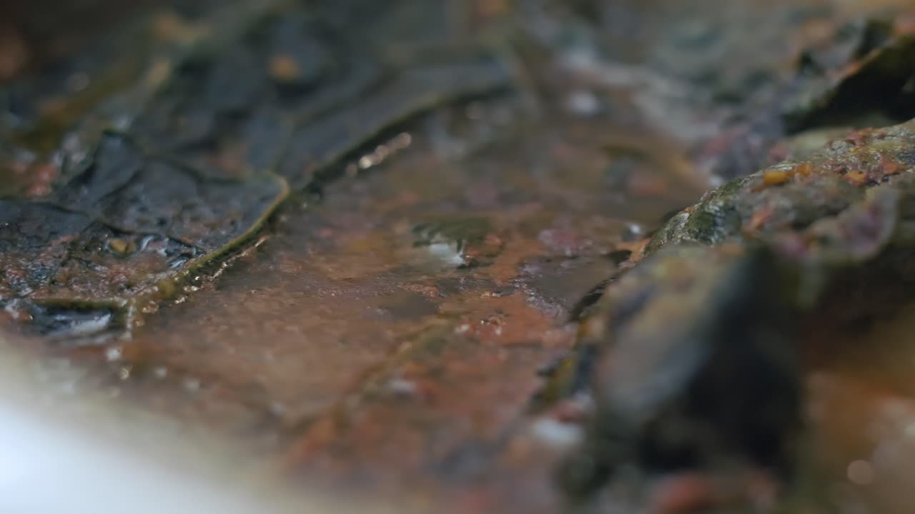 Kale Cooking In A Delicious Vegetable Soup With Lots Of Tomatoes, Very Tasty - Extreme Close Up