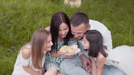 family picnic with cupcakes
