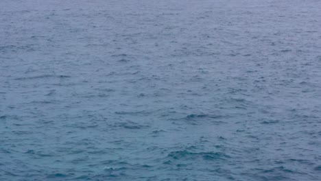 Niedrige-Luftaufnahme-Von-Delfinflossen-An-Der-Oberfläche-Des-Welligen-Meerwassers