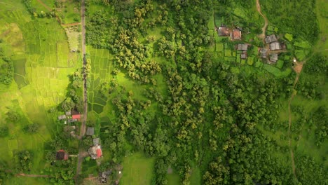 Grüner-Wald-In-Schwarzen-Wolken,-Hyper-Zeitraffer-Vogelperspektive